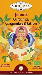 Ceai cu turmeric, ghimbir si lamaie Chakras Vision Bio, 16 plicuri, Shoti Maa