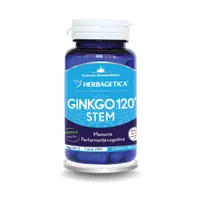 Ginkgo 120+ Stem, 30 capsule, Herbagetica