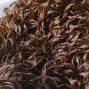 Balsam pentru par cret