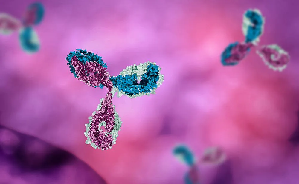 Ce sunt si cum functioneaza anticorpii