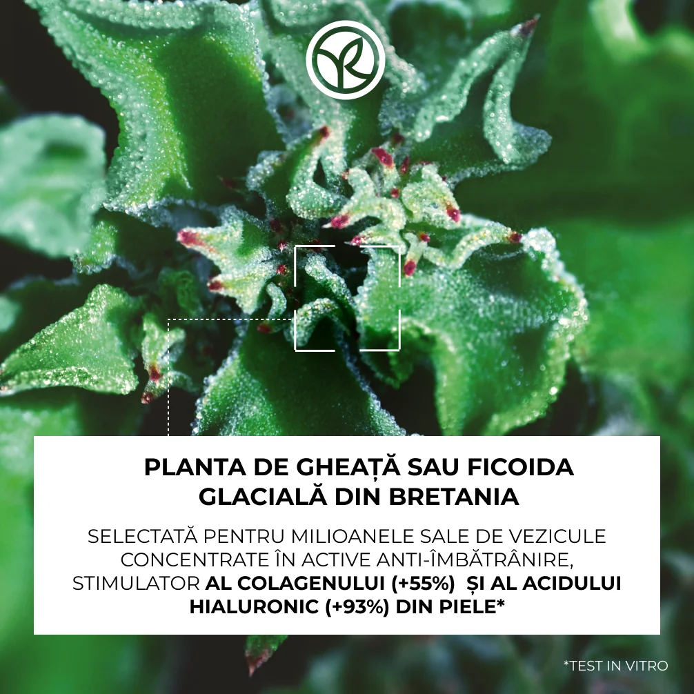 Crema antirid pentru zona ochilor, 14ml, Yves Rocher