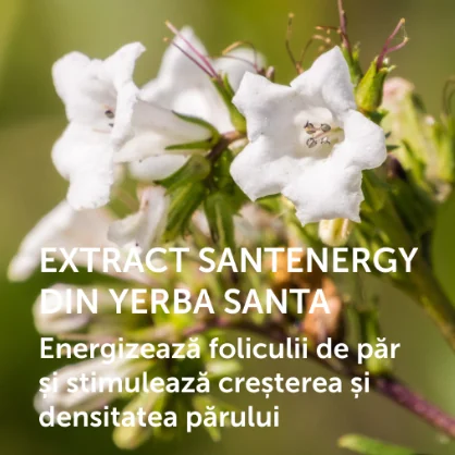 Extract Santenergy Extract Santenergy