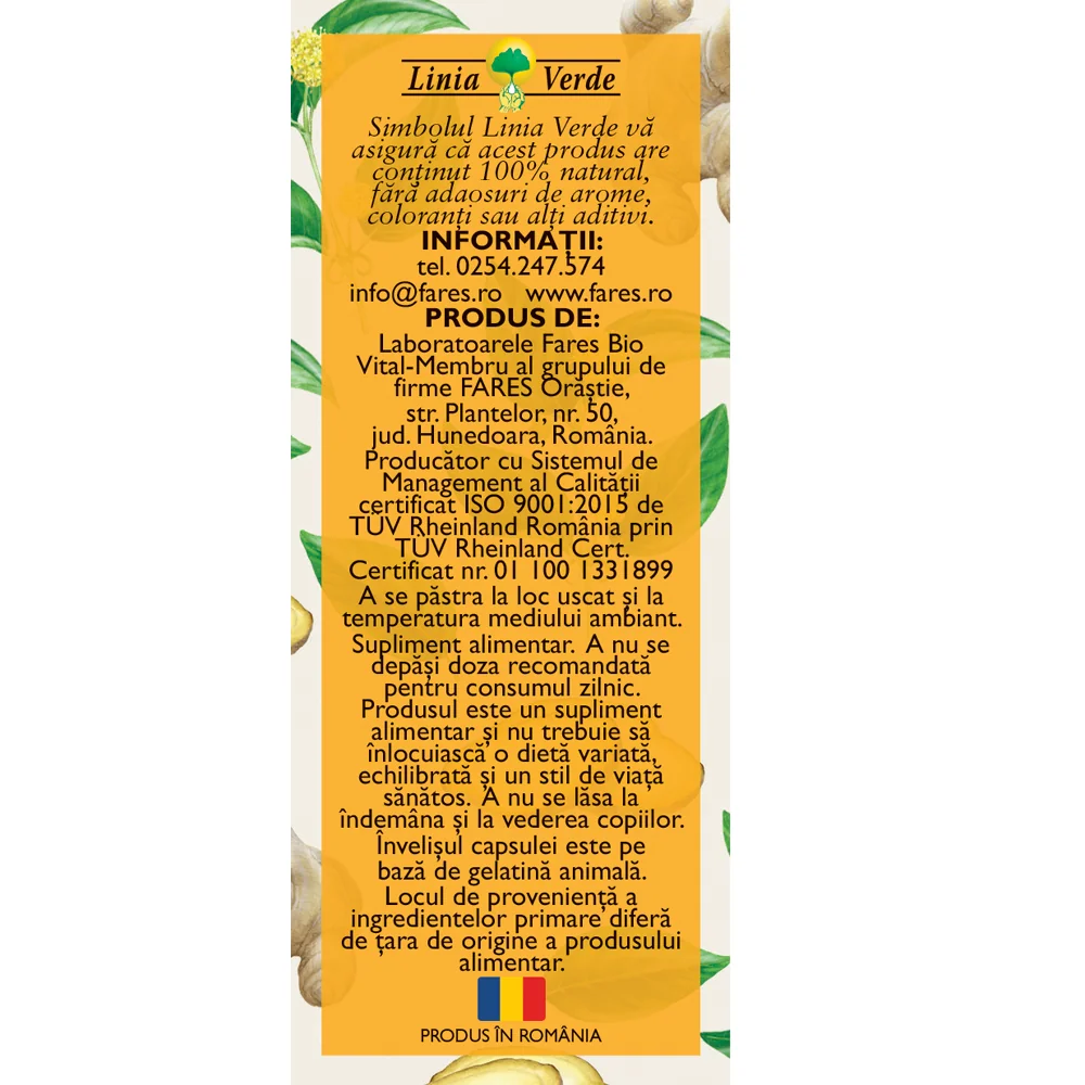 Imunitate, respirator si digestiv F160, 42 capsule, Fares