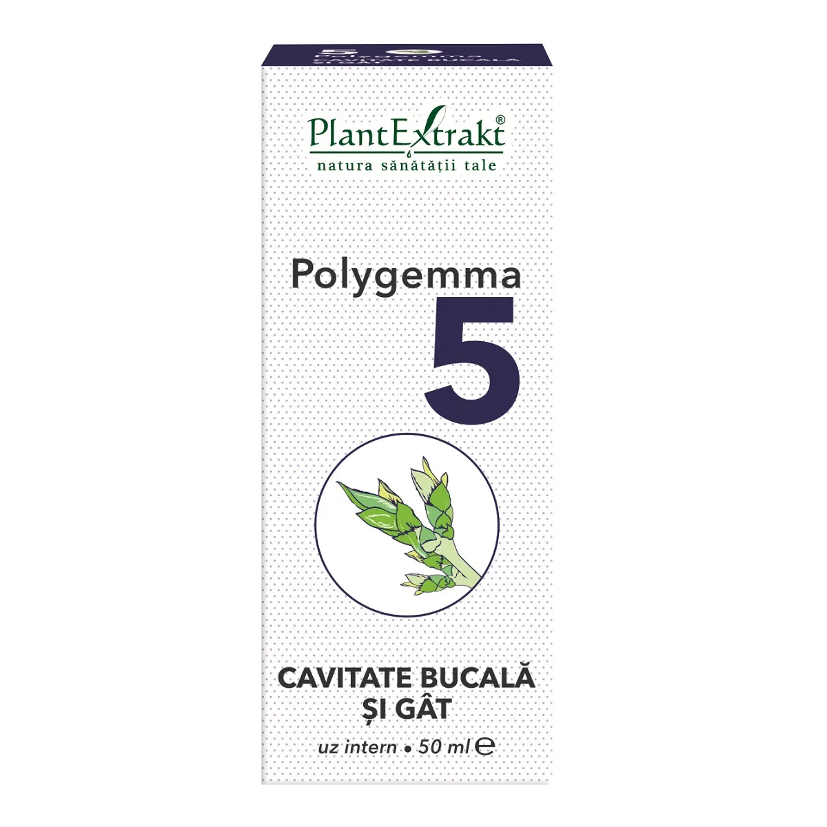 Polygemma 5 Cavitate bucala si gat, 50ml, Plant Extrakt