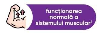 functionarea normala a sistemului muscular