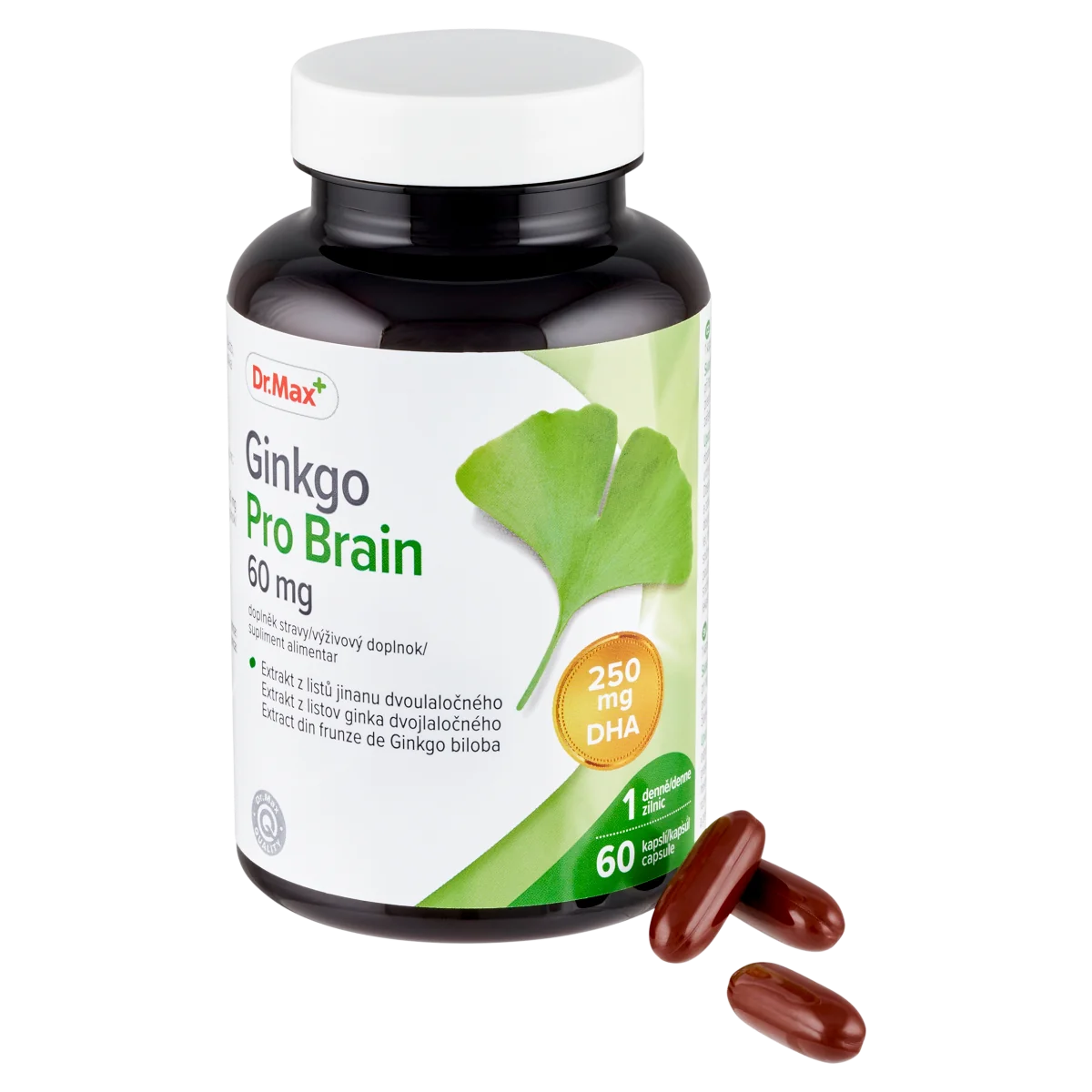Dr. Max Ginkgo Pro Brain, 60 capsule moi