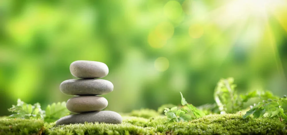 Tratament naturist pentru gastrita Tratament naturist pentru gastrita