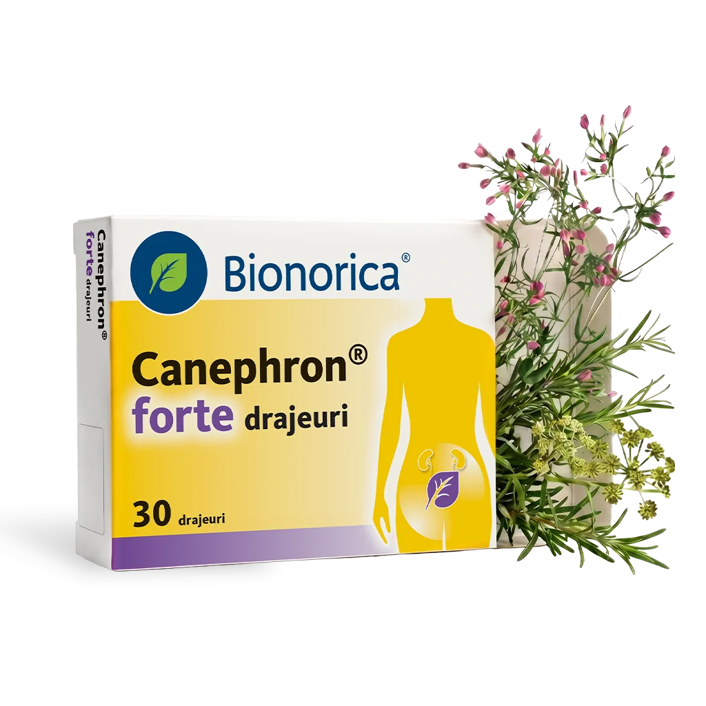 Canephron Forte, 30 drajeuri, Bionorica