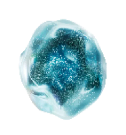 Acid Salicilic Acid Salicilic
