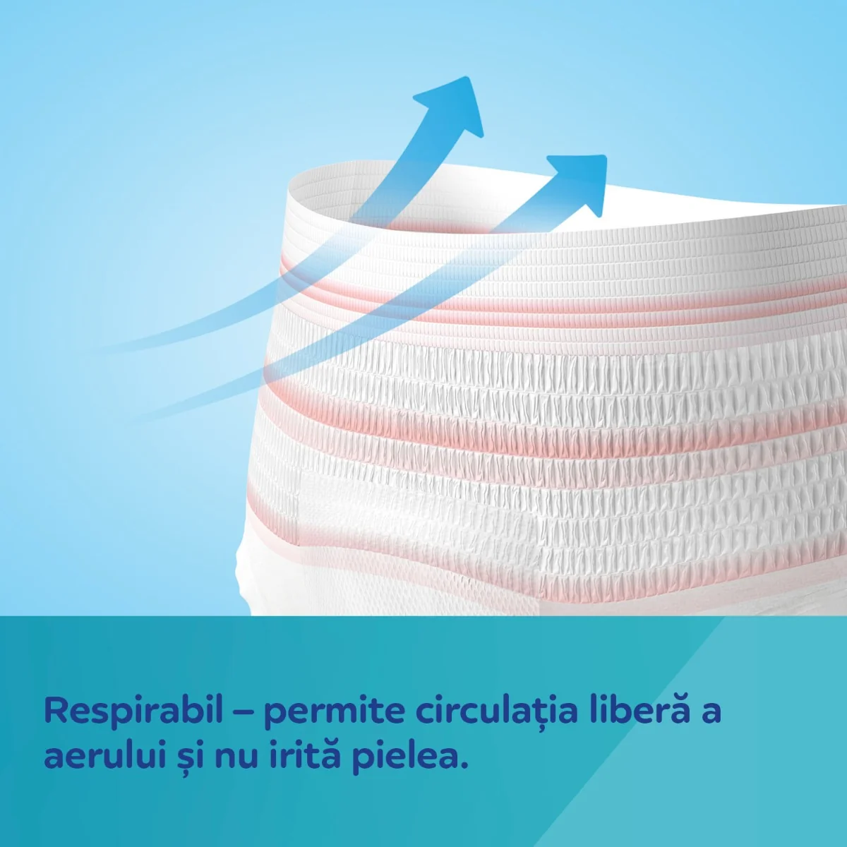 Chiloti postnatali de unica folosinta 2 in 1 marimea L/XL, 5 bucati, Canpol babies