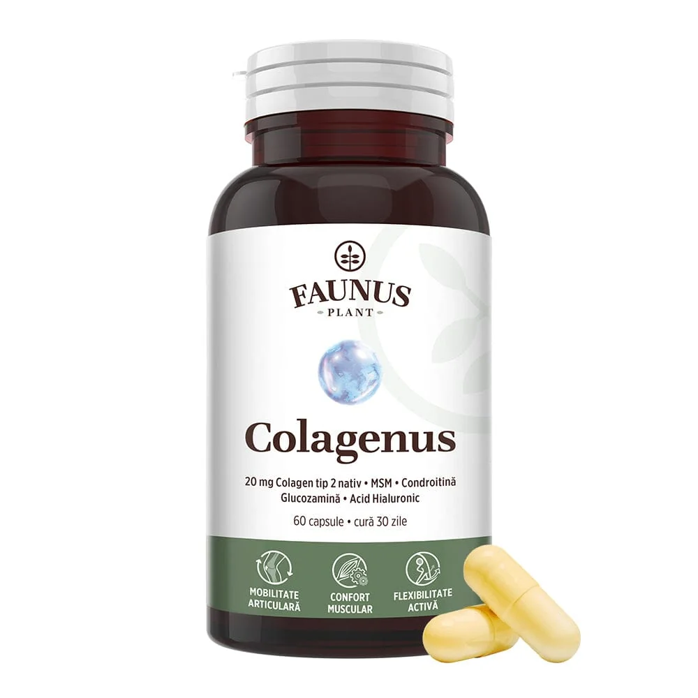 Colagen tip II pentru articulatii oase piele par Colagenus, 60 capsule, Faunus Plant