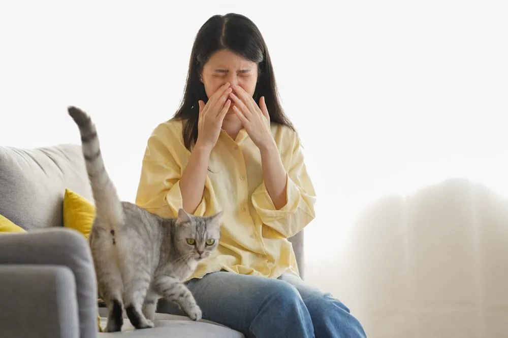 Alergie la pisici sau caini: Cauze, simptome si tratament