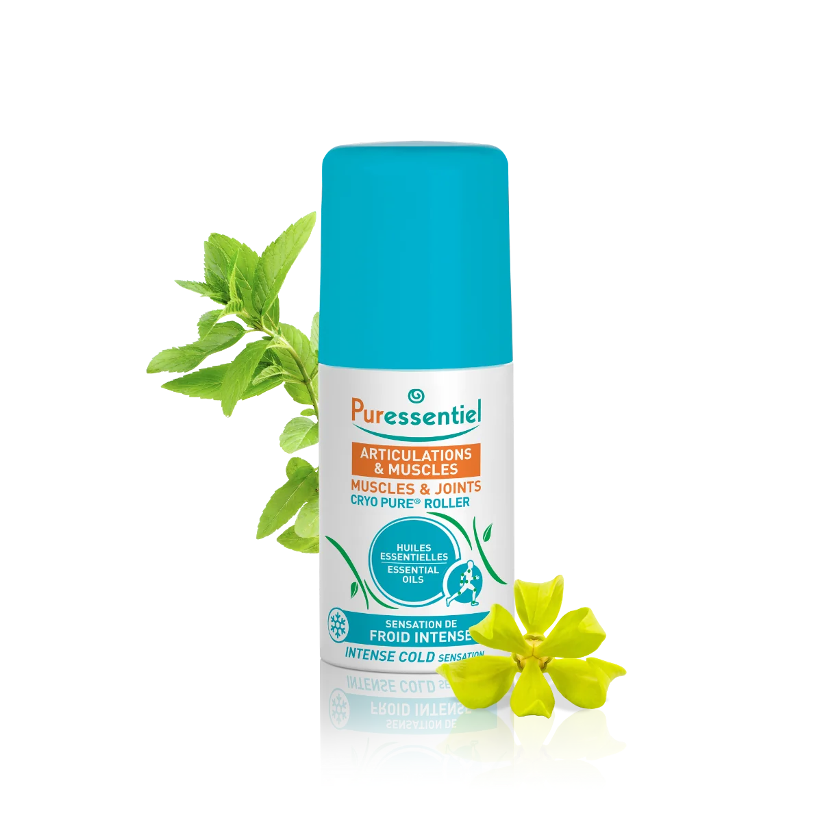 Muscle & Joints roller cu efect racoritor, 75ml, Puressentiel
