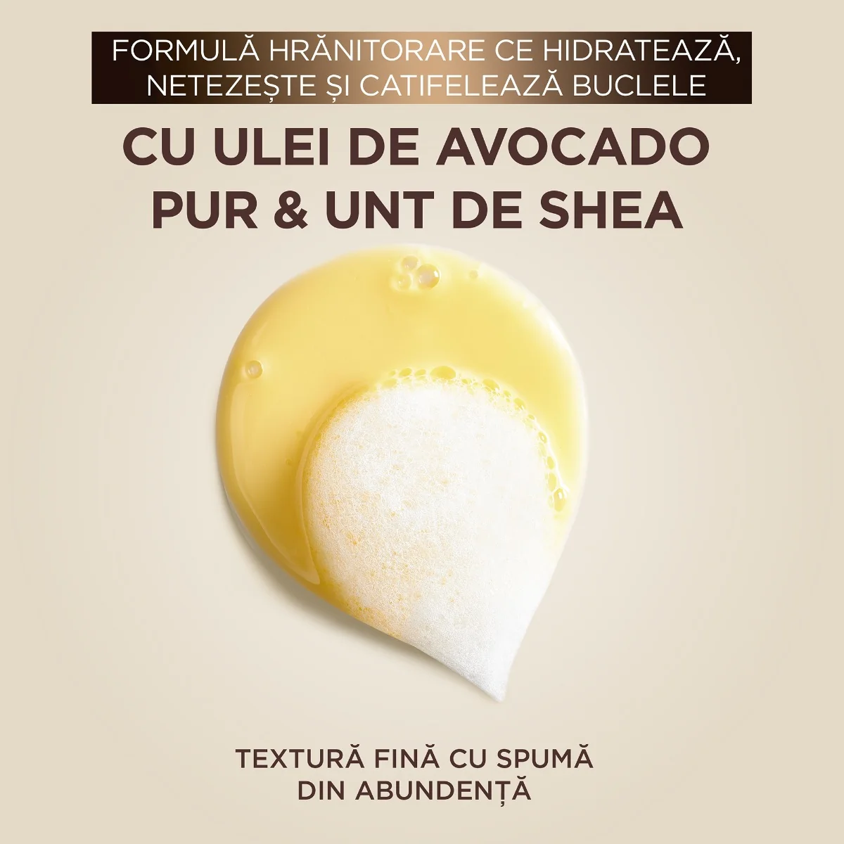 Sampon pentru parul uscat ondulat si cret Botanic Therapy Avocado Oil, 400ml, Garnier