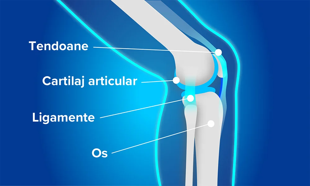 Cum functioneaza oasele noastre