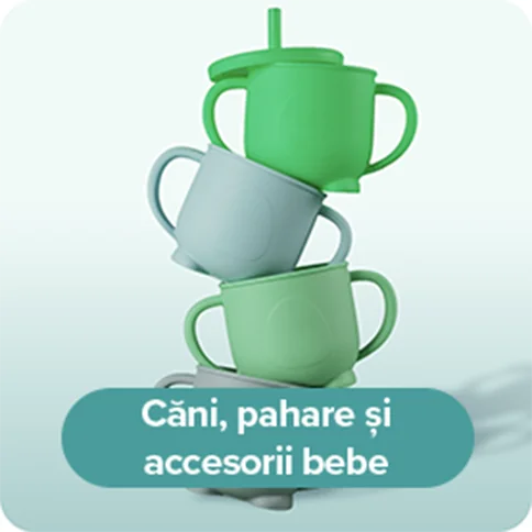Cani pahare si accesorii Cani pahare si accesorii