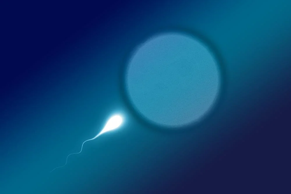Oligospermie: ce este, tipuri, cauze, tratament, preventie