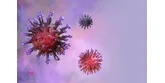 Virusuri: ce sunt, tipuri, ce afectiuni pot cauza?