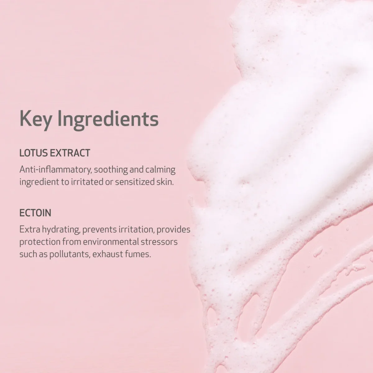 Spuma de curatare demachianta cu extract de floare de lotus si ectoina Gentle AF, 150ml, Indeed Labs