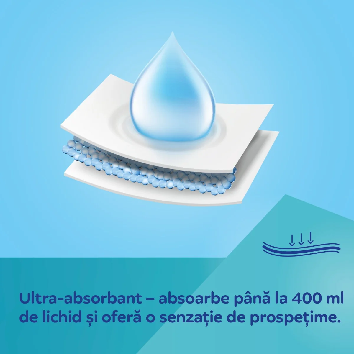 Chiloti postnatali de unica folosinta 2 in 1 marimea L/XL, 5 bucati, Canpol babies