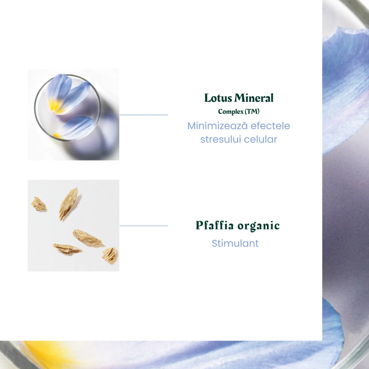 Tratament impotriva caderii parului Triphasic Reactional, 12 fiole x 5ml, Rene Furterer