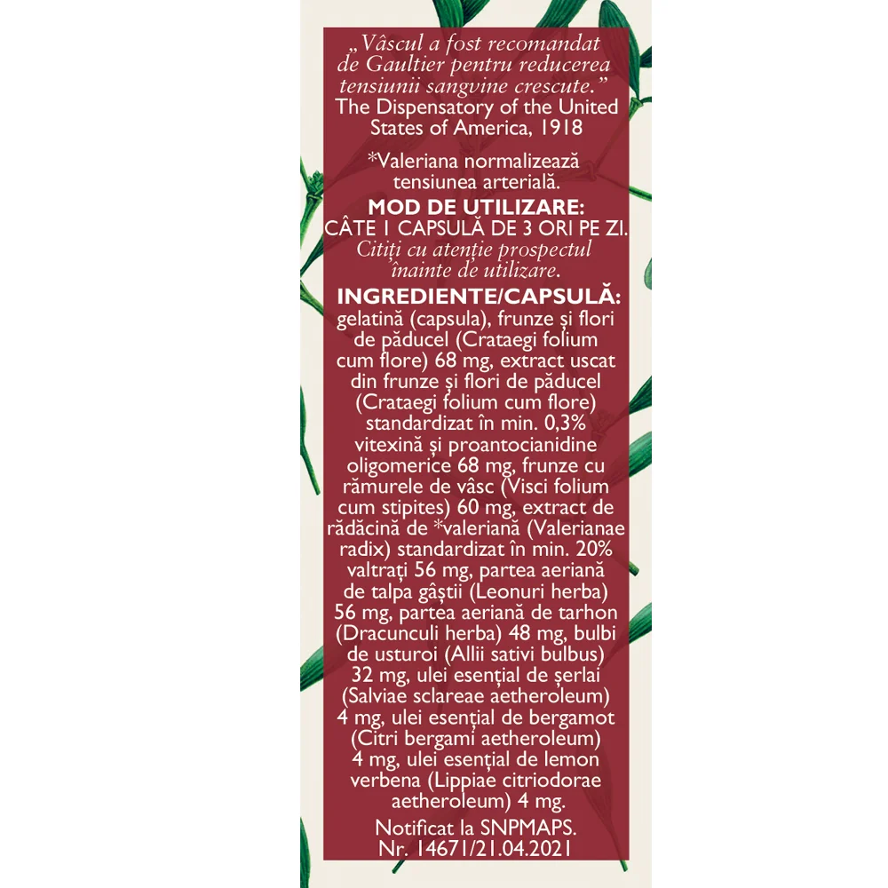 Fitotensin forte, 63 capsule, Fares