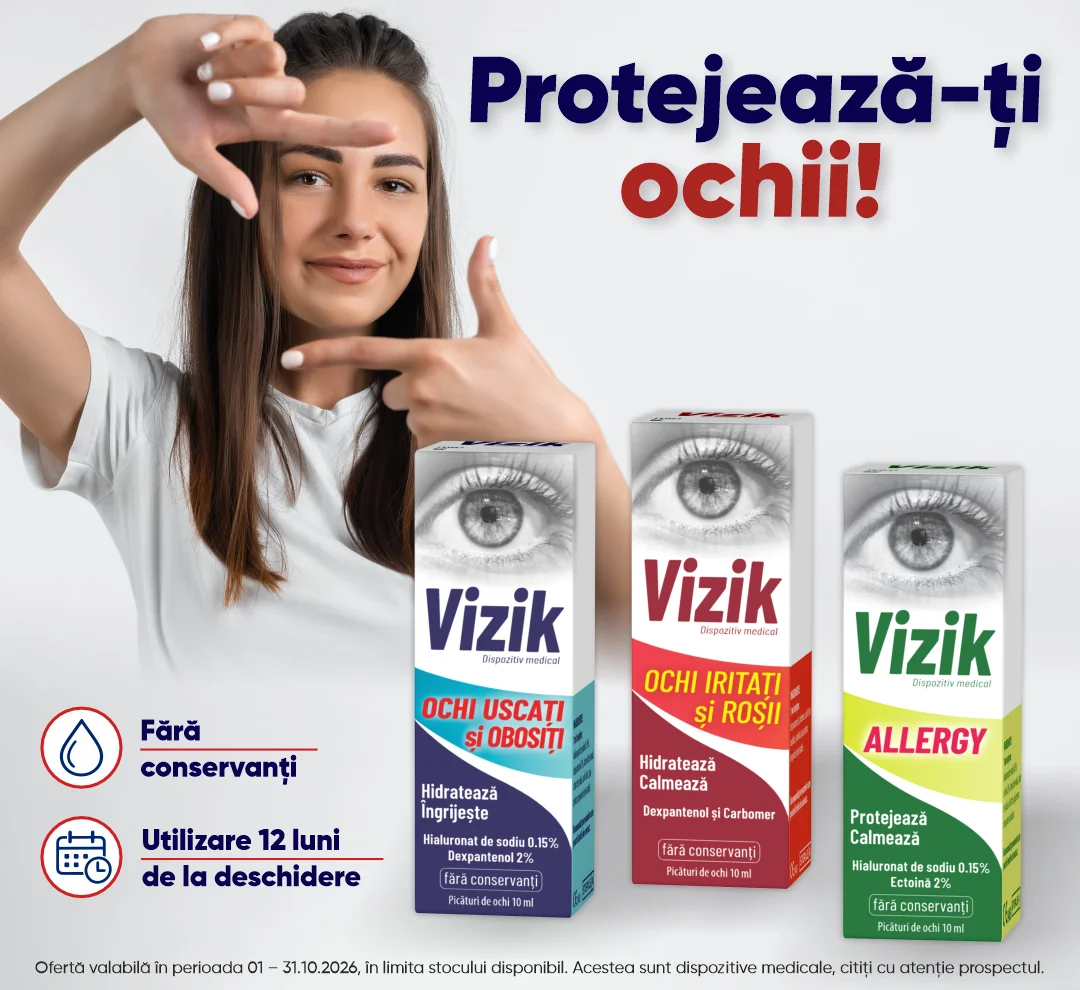 Vizik