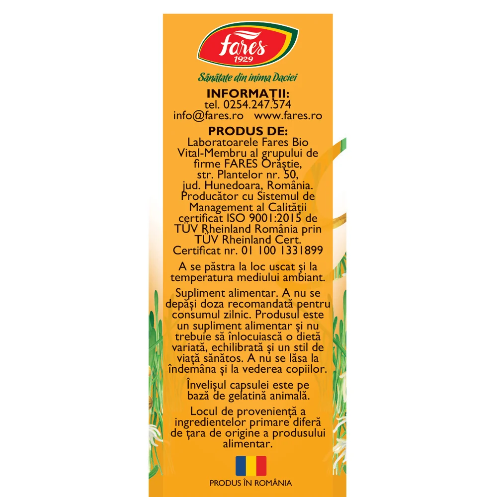 Vitamine naturale B Complex F172, 60 capsule, Fares