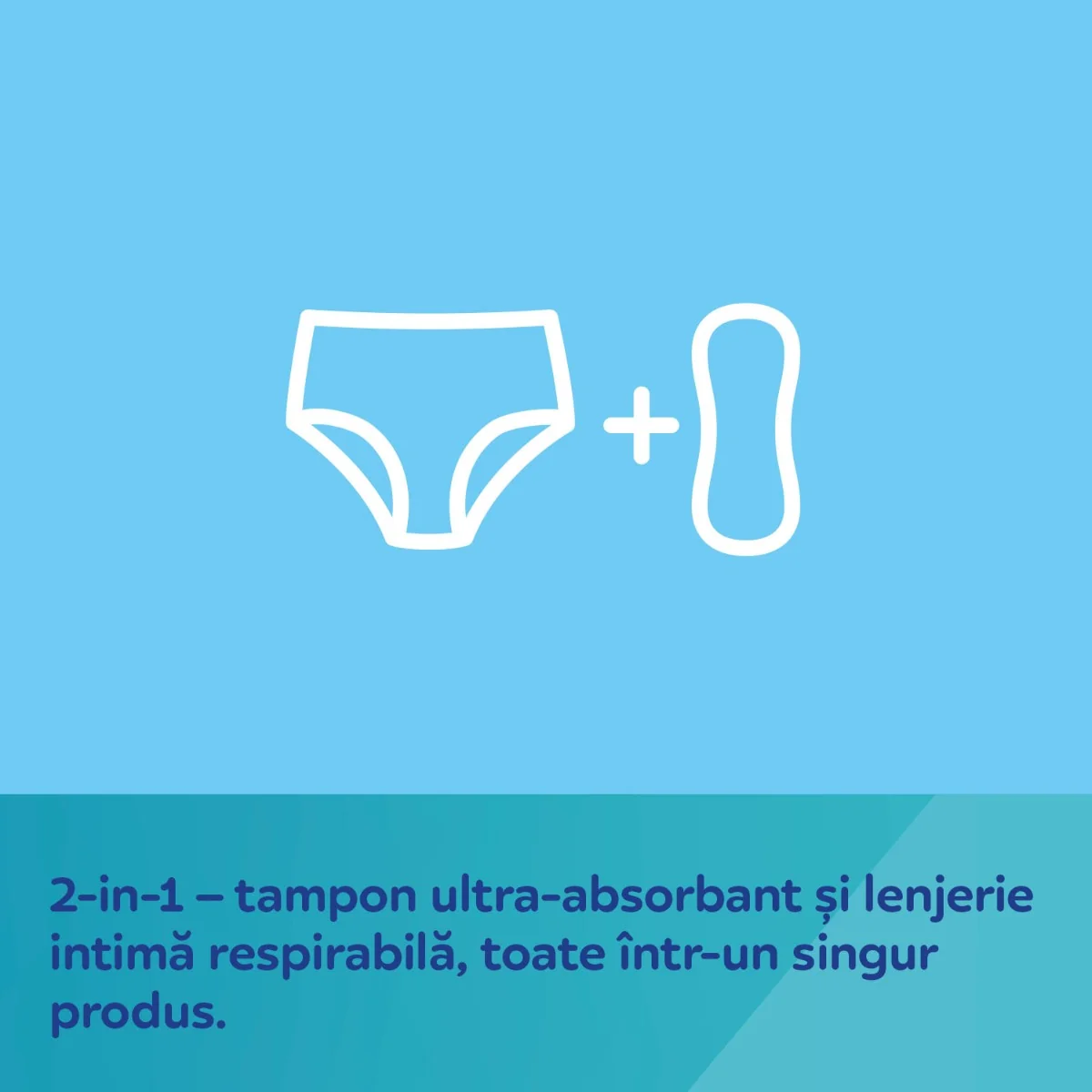 Chiloti postnatali de unica folosinta 2 in 1 marimea L/XL, 5 bucati, Canpol babies