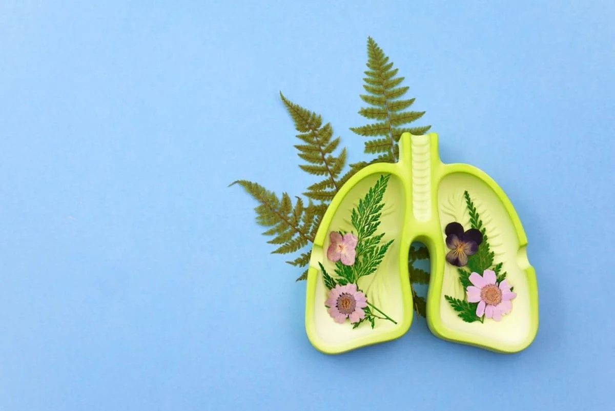 Top 10 plante cu proprietati expectorante si beneficii pentru respiratie