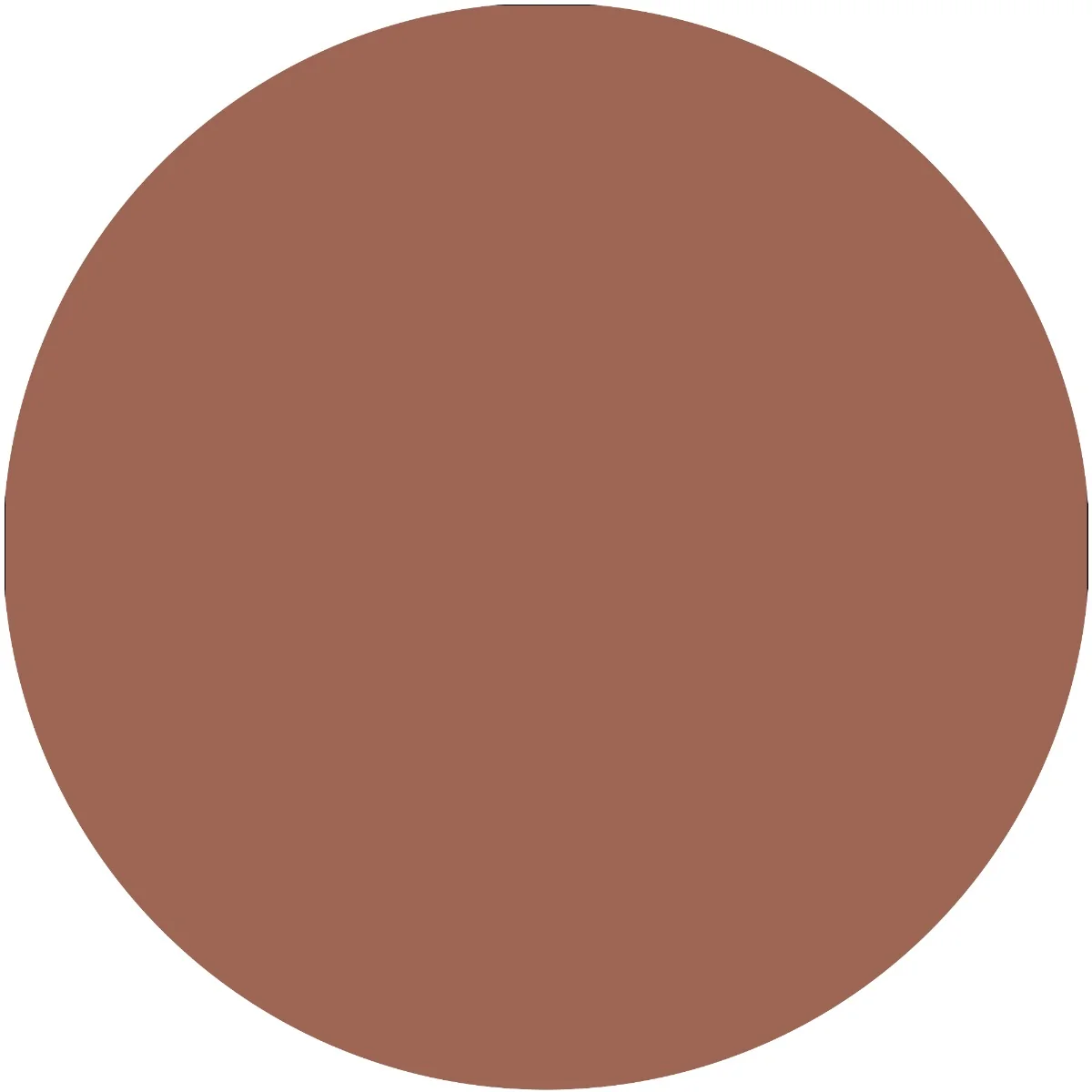 Ruj The Slim Stick 101 - Choc-o-holic, 1.7g, Essence