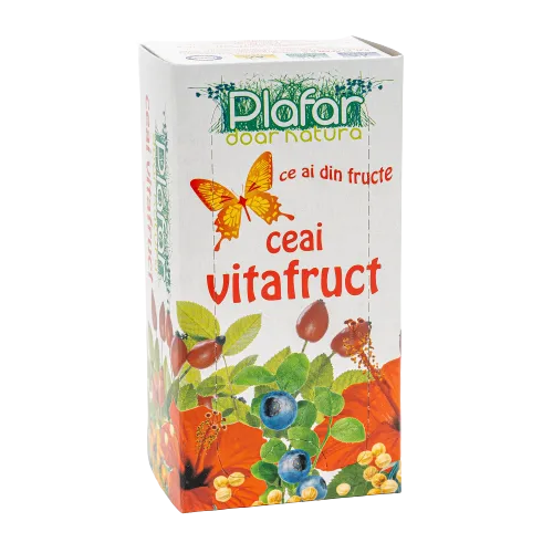 Ceai Vitafruct, 20 plicuri, Plafar