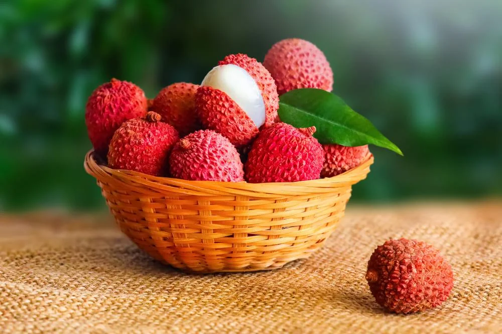 Litchi: proprietati, beneficii, utilizari