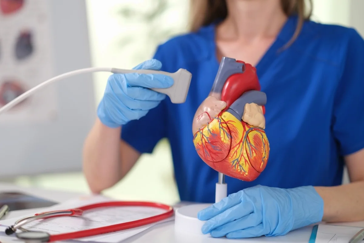 Cardiomiopatia restrictiva: cauze, manifestari clinice, diagnostic si tratament
