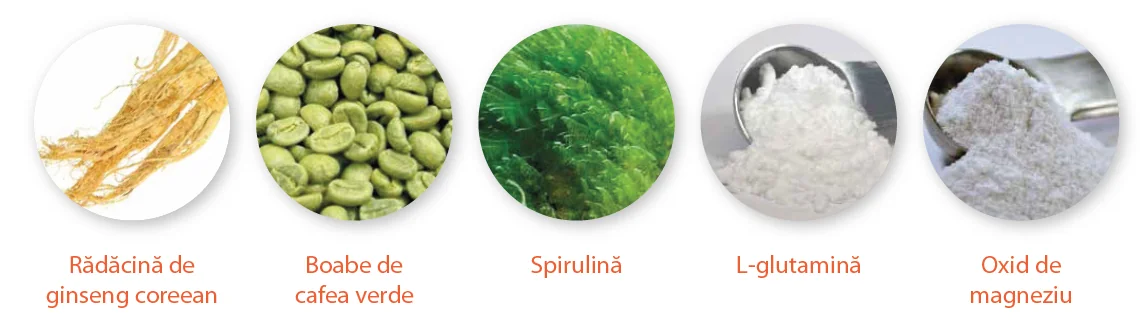 Ingrediente VITA ENERGY MAX, 30 CAPSULE Ingrediente VITA ENERGY MAX, 30 CAPSULE