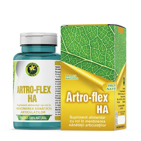 Artro Flex HA, 60 capsule, Hypericum