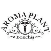 Aroma Plant Bonchis