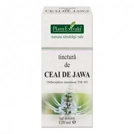 Tinctura Ceai Jawa, 120ml, Plantextrakt