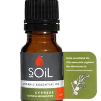 Ulei esential Cypress 100% Organic Ecocert, 10ml, Soil
