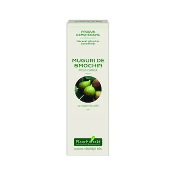Extract concentrat din muguri de smochin, 15ml, PlantExtrakt