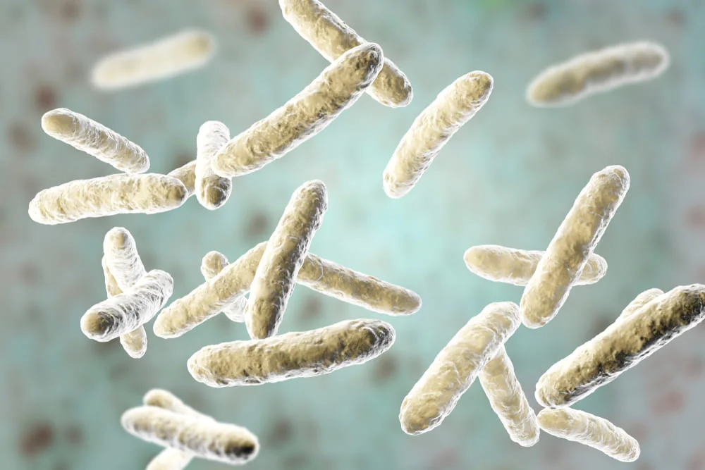 Refacerea florei intestinale: indicatii si contraindicatii