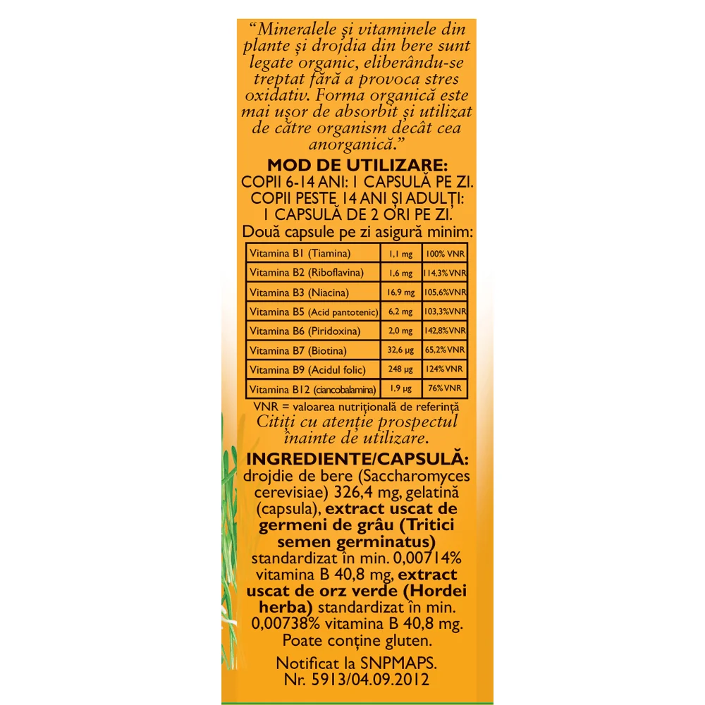 Vitamine naturale B Complex F172, 60 capsule, Fares