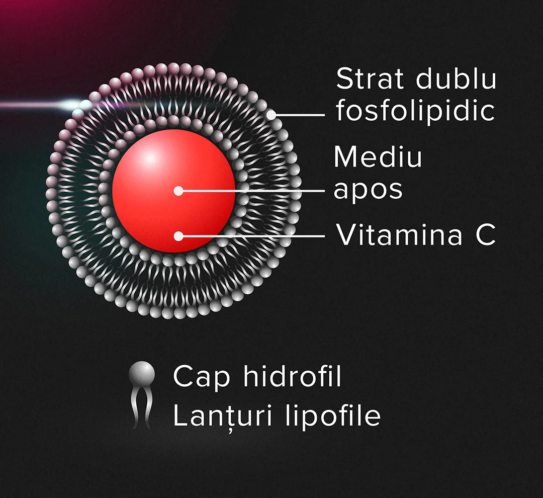 Beneficiile vitaminei C sub forma lipozomala Beneficiile vitaminei C sub forma lipozomala