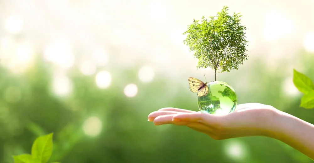 Cosmetice naturale: beneficii si contraindicatii