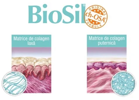 BioSil, 60 capsule, Bio Minerals