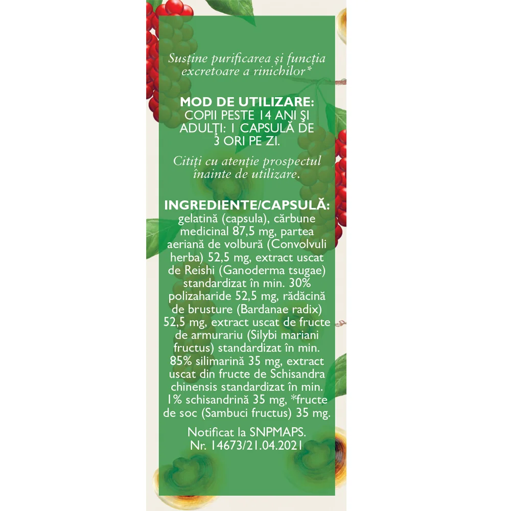 Detoxifiant cu ganoderma, 63 capsule, Fares