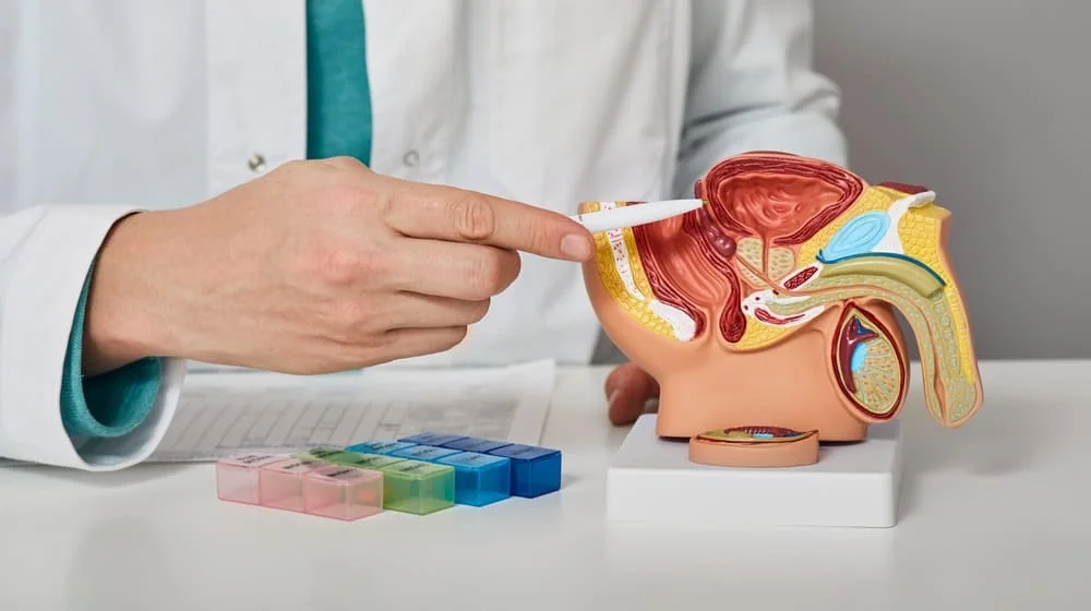Mulas prostatita Mulas prostatita