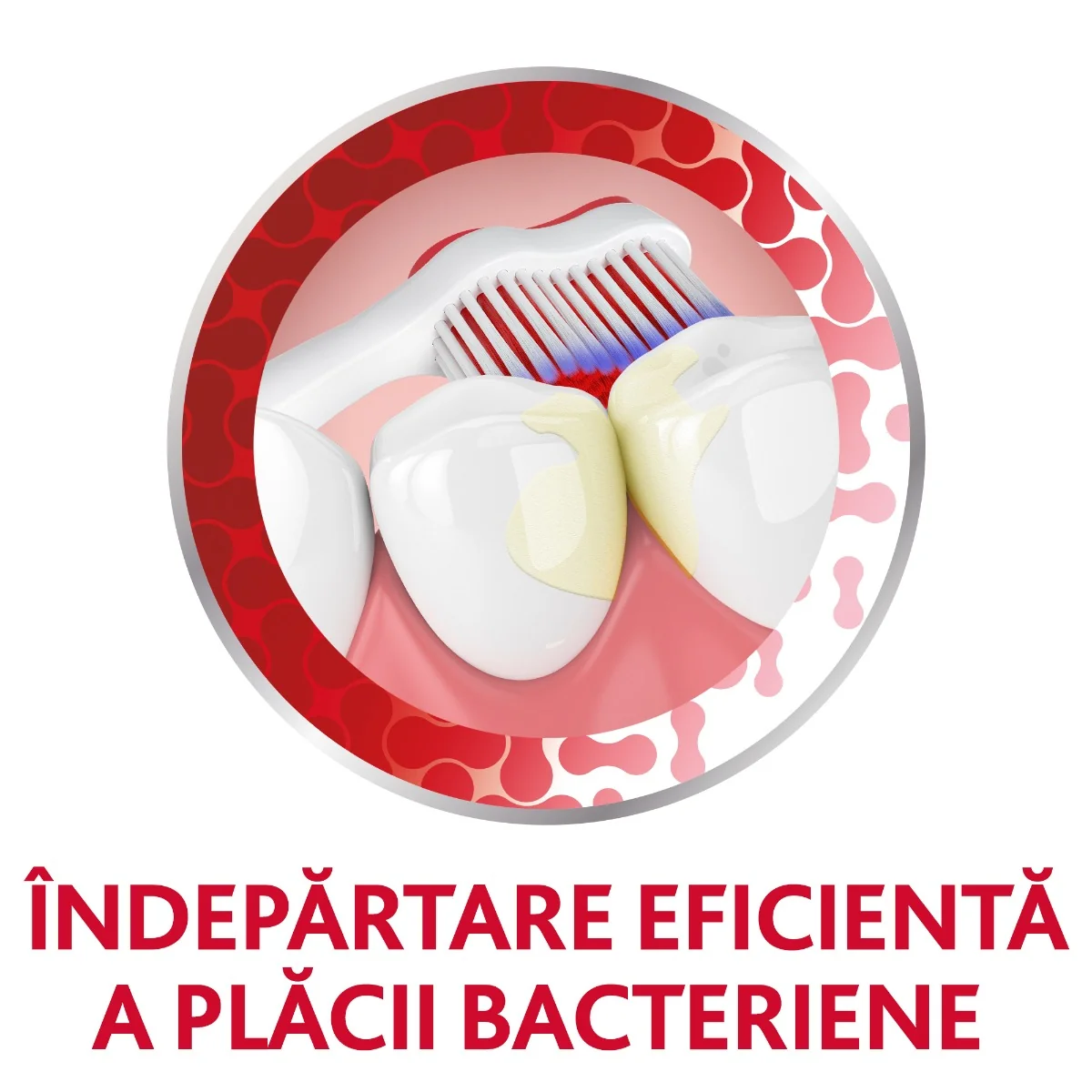 Periuta de dinti Soft Complete Protection, 1 bucata, Parodontax