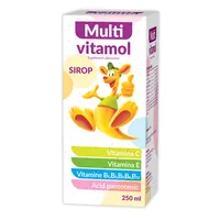 Sirop Multivitamol 1+, 250ml, Zdrovit