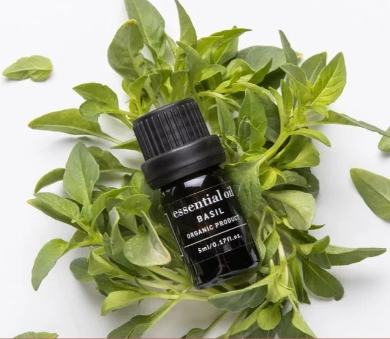 Apivita Ulei esential Basil, 5ml
